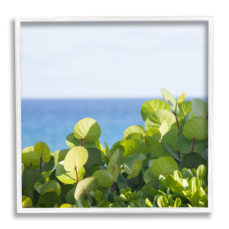 Plantes luxuriantes au loin, H 12 po x l 12 po x P 1,5 po, Giclée encadrée blanc bord de mer