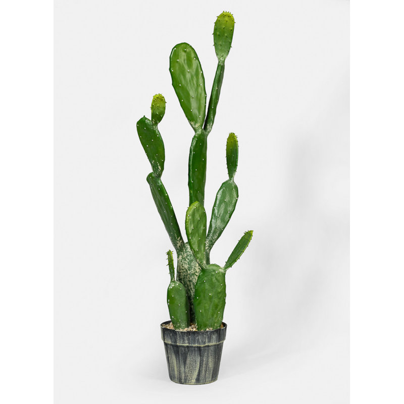 Faux Cactus Plant in Pot