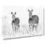 Two Zebras - Wrapped Canvas-56645540