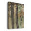 «Under the Tree Confetti I», reproduction sur toile-1786458006