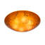 6 - Light Flush Mount