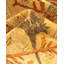 Classic One-of-a-Kind 12' 1" x 17' 8" Hand Knotted Area Rug
