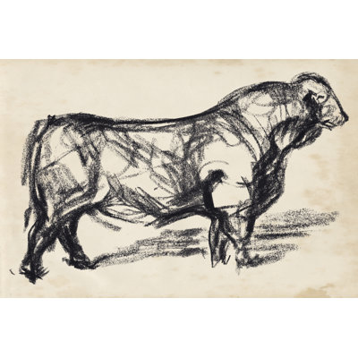 Black Angus I by Jennifer Paxton Parker - Drawing