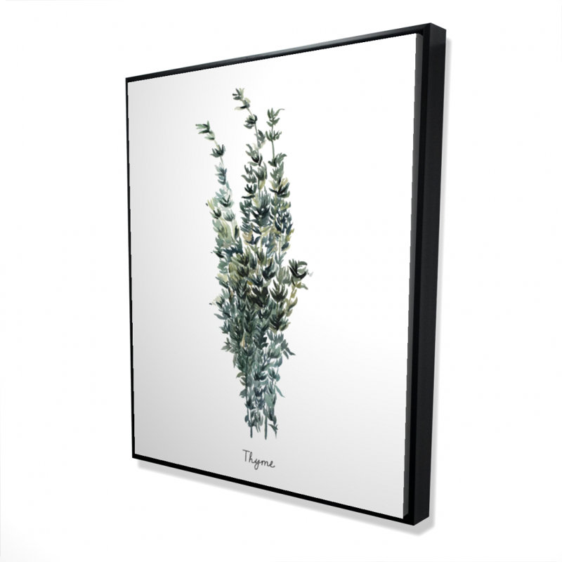 " Thyme Leaves Bundle - En "