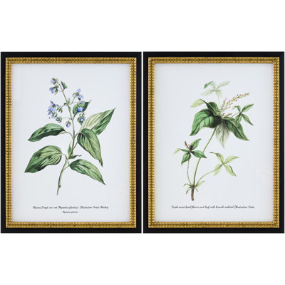 Archibald Wall Art