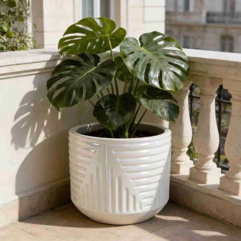 High-quality ceramic flower pots, Milk White