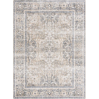 Oriental Indoor Rug