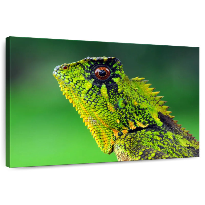 Exotic Lizard, 30" H x 45" W