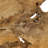 4 Pcs Rustic Wooden Wall Art Set, 12"X12" Abstract Geometric Wall Decor, Irregular Handcrafted Wood Hanging For Living Room, Bedroom, Office, Natural-114234739