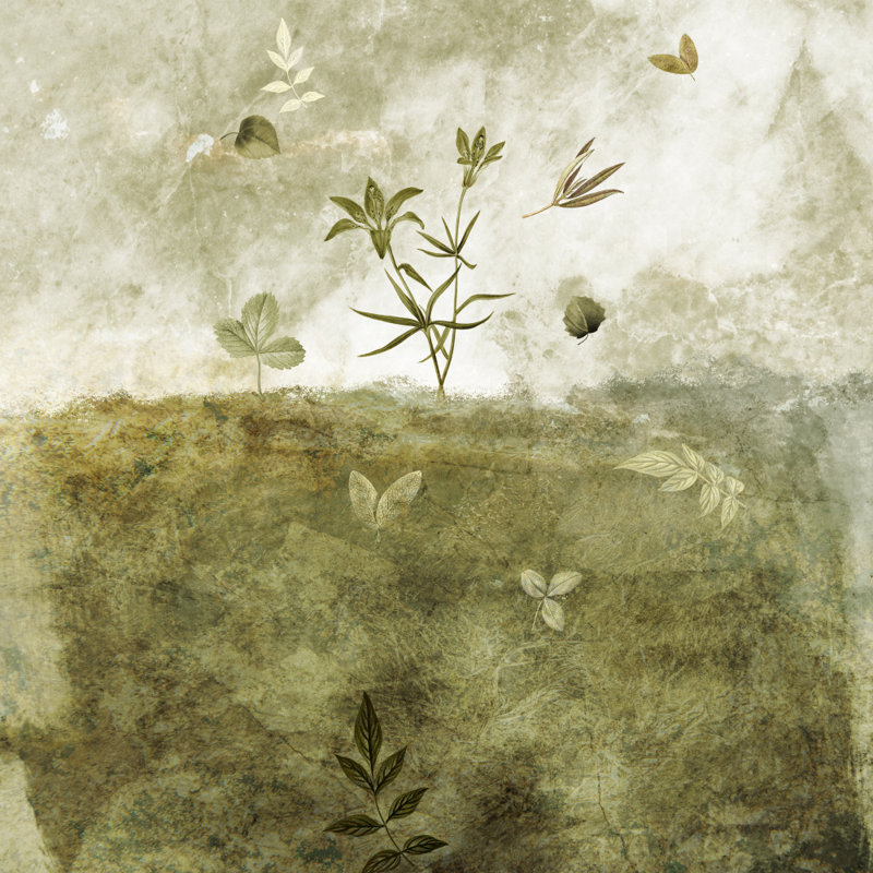 Wrapped Canvas Print, 91.44 cm H x 91.44 cm W