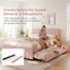 Grand lit plateforme tapissier en velours avec très grand lit simple TG-1783095813
