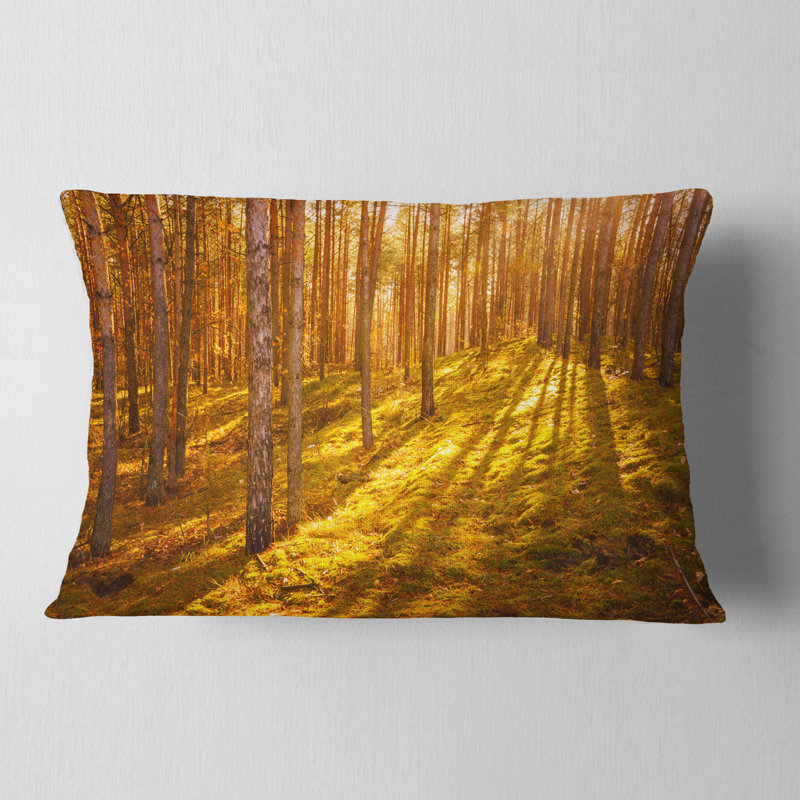 Beautiful Sunrays in Thick Forest - Forest Printed Throw Pillow