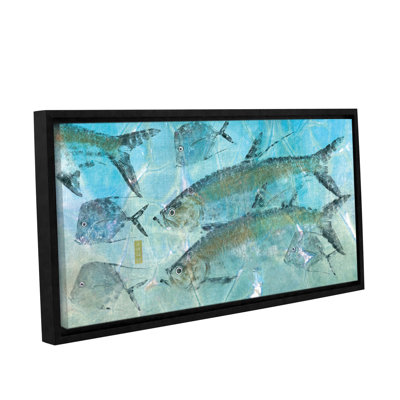 Tarpon " Tarpon Lagoon "