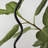 Squiggle 62" Modern LED Floor Lamp with Wavy Black Metal Base and Ivory Empire Shade, Bulb Included-98278479