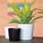 Karstin Pot Planter-1344211566