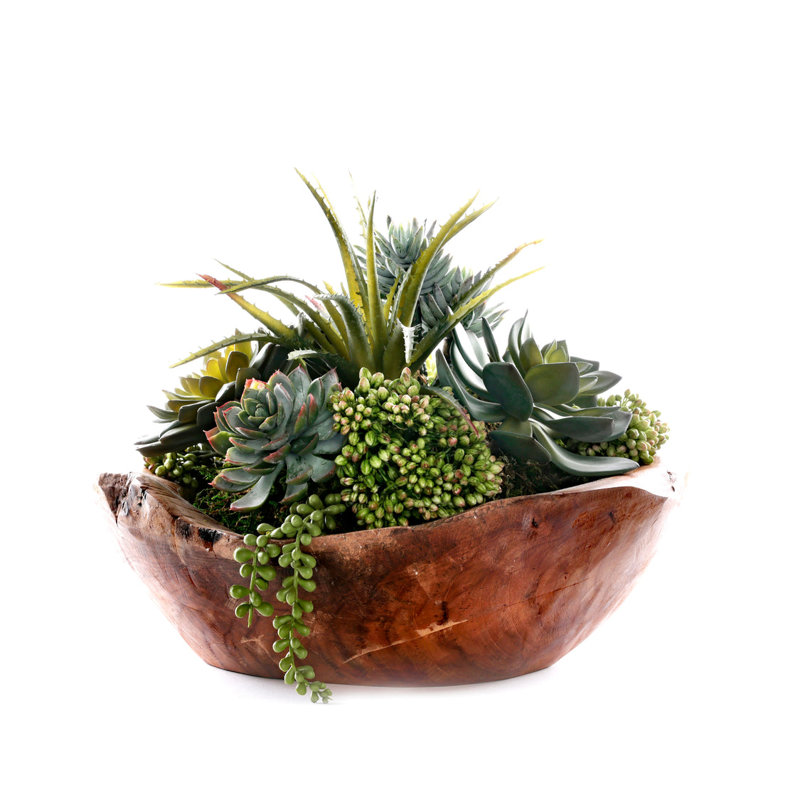 Faux Succulent Plant