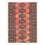 Oriental Area Rug