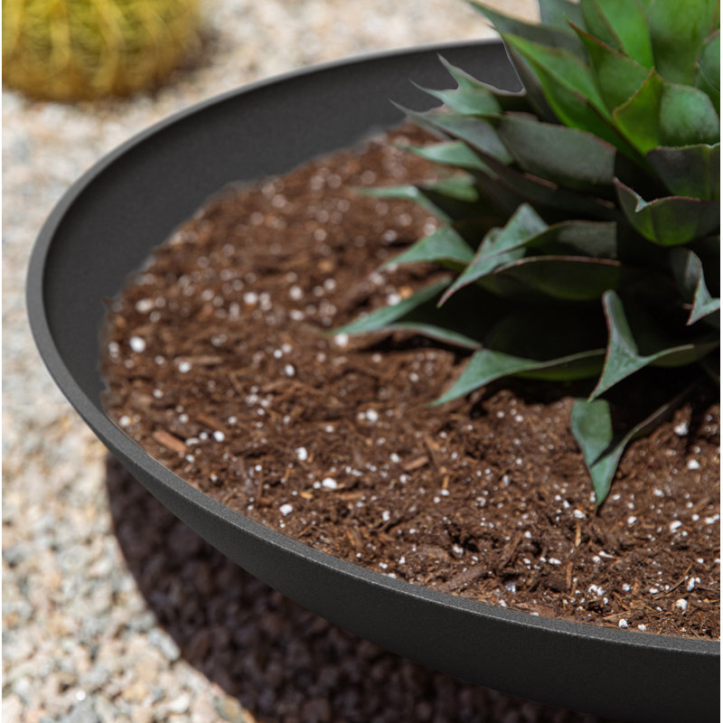 Pure Series Lane Bowl Planter, Black, 6" H x 24" W x 24" D, Set of 2