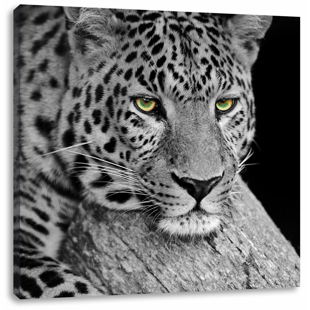 Leinwandbild Ruhender Leopard