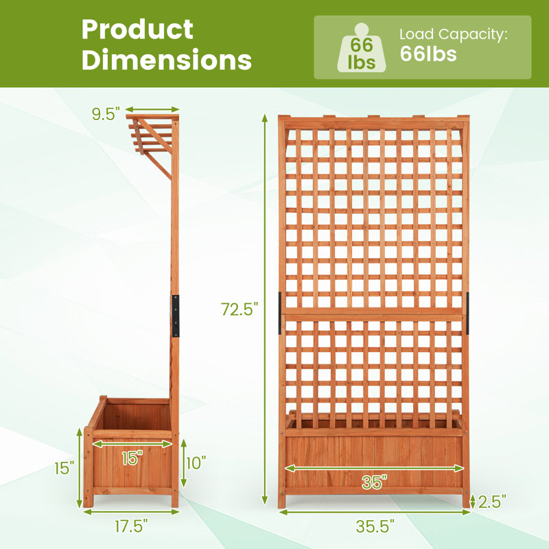 Pachl Vertical Garden with Trellis