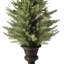 Mini épinette en pot 40 po UV