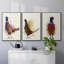 Pheasant Splash 3 3 pièces-106064820-106064821
