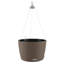 Hanging Planter-66329962-66329966