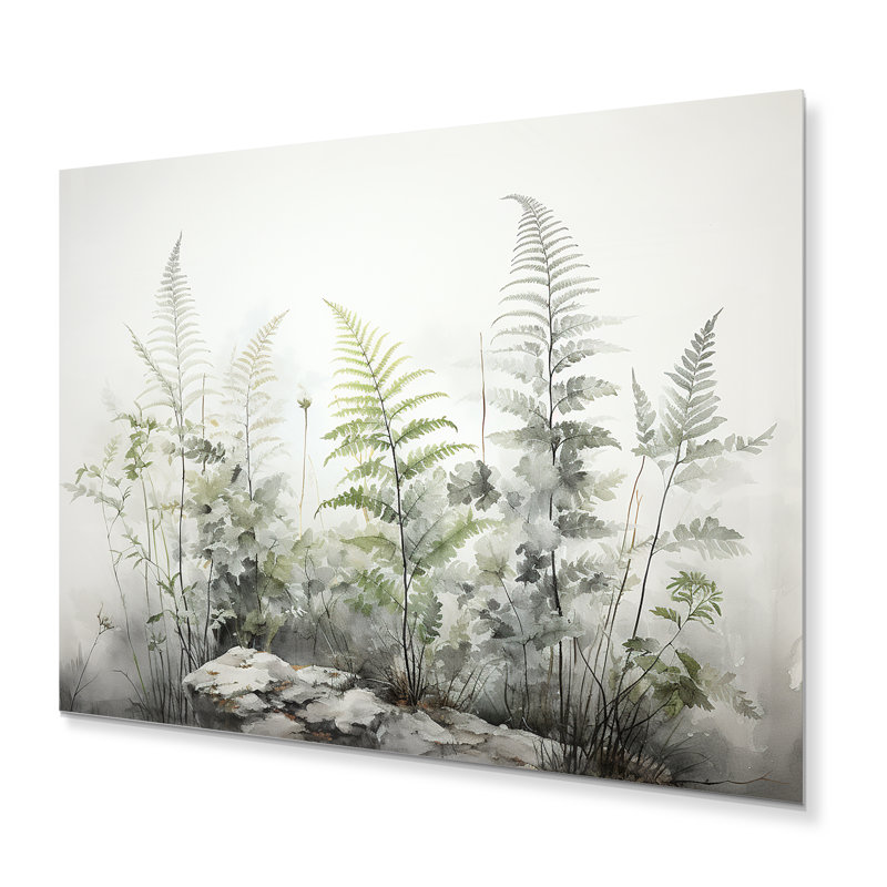 Ferns Silver Whispers I - reproduction d'art sur métal, H 30 po x l 40 po