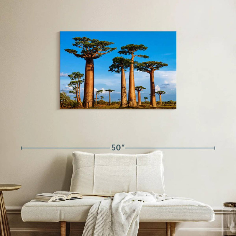 Morondava, forêt de Baobab, H 24 po x l 36 po