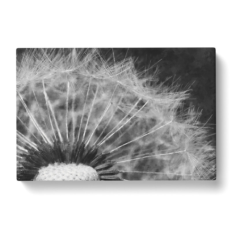 Dandelion Seeds Vol.8 - Wrapped Canvas Print, 35cm H x 50cm W x 3cm D