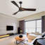 Ventilateur de plafond 52 po Elnathan-609177713-609177712