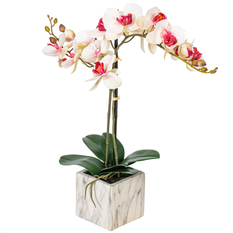 Phalaenopsis artificiel en pot 22 po Karelis, Rose