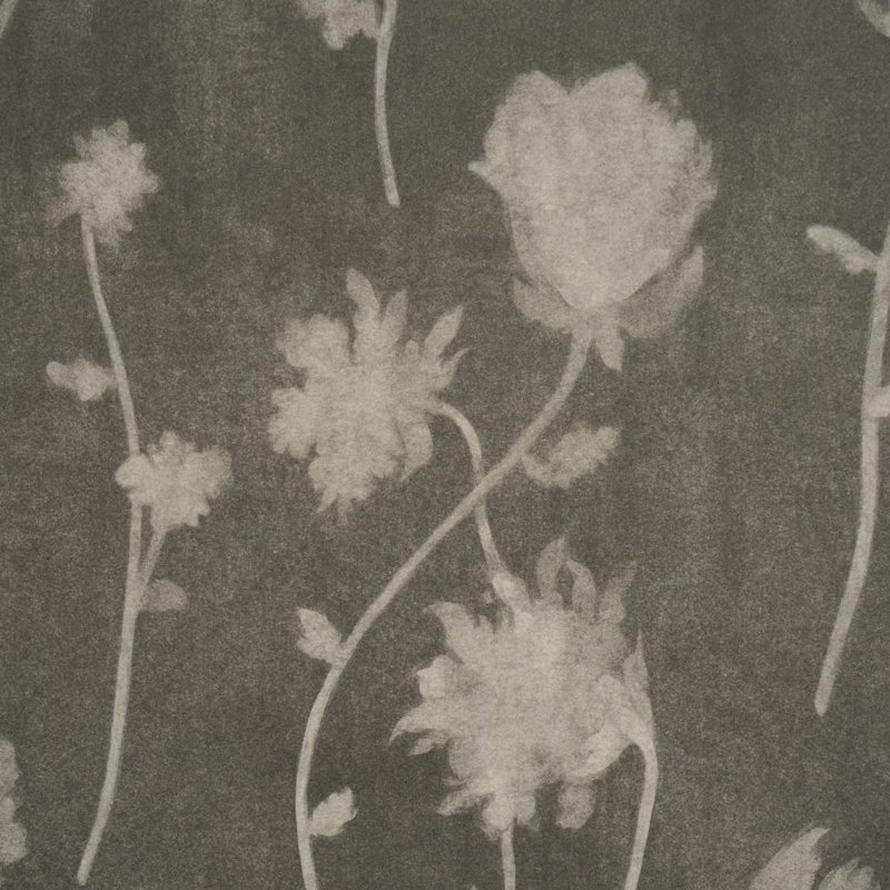 Schumacher X Backdrop Before Midnight Wallpaper, Black
