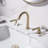 Widespread 2-handle Bathroom Faucet