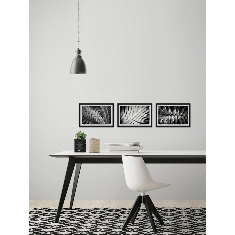 «Leaf Types Triptych» par Morgan Hartley - ensemble de 3 reproductions de photos sur papier encadrées