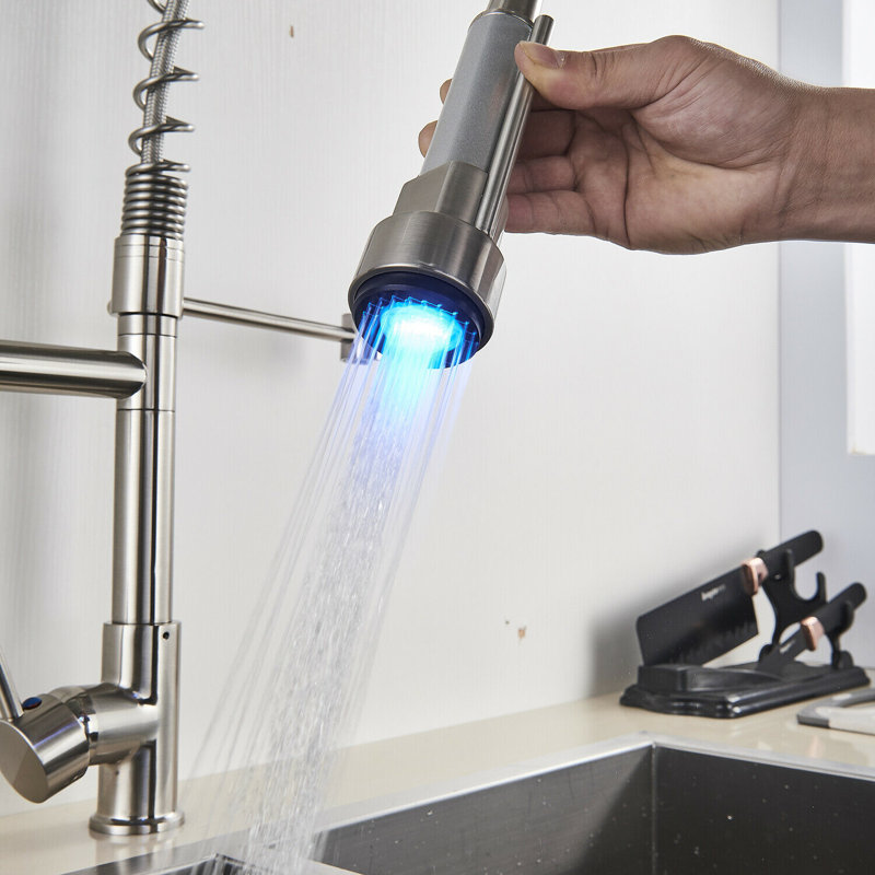 Belfry Kitchen Mascoutah Pull Out Kitchen Faucet