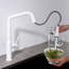 Robinet de cuisine à poignée simple avec accessoires Macon-93729444-48024393