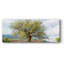Olive sur toile-429407048