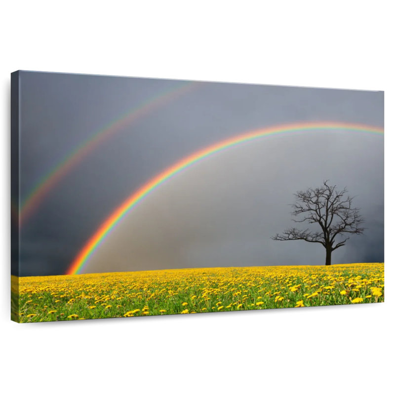 Alvord arc-en-ciel au-dessus d'un champ de fleurs, H 26 po x l 39 po