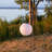 10'' Solar Powered Integrated LED-262268854-262187036