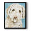 Labradoodle I, toile encadrée de qualité supérieure - prête à être accrochée-547013914-547013908