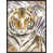 Image Brush Gel  selected