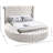 Dorgan Upholstered Wingback Bed-435993130-435993134