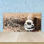 50cm W x 100cm L Glass Peel and Stick Panel