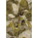 Nolah Area Rug with Non-Slip Backing