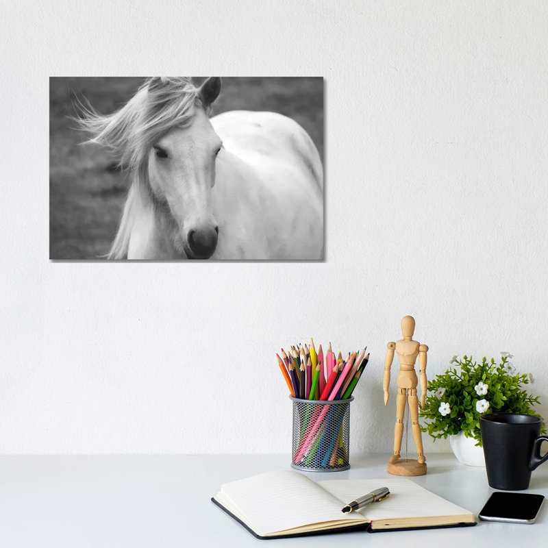 Snow White by MScottPhotography - Wrapped Canvas Print, 20.32 cm H x 30.48 cm W