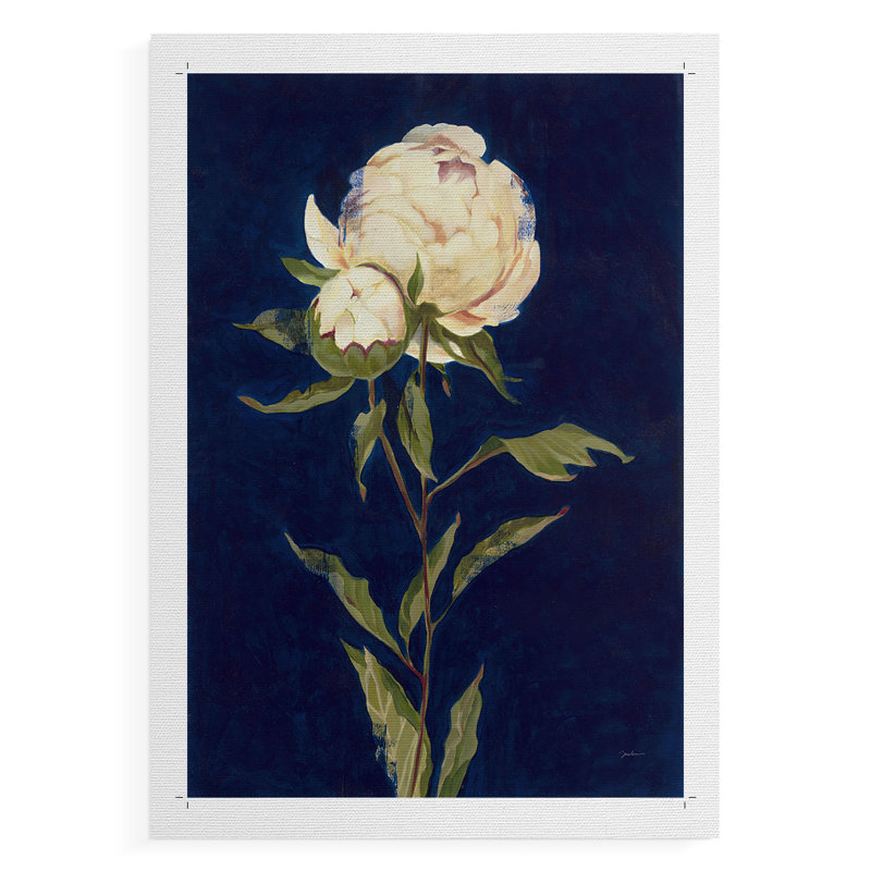 JOLIE COMME PEONY II - Impression sur toile seulement - non encadrée, H 36 po x l 24 po