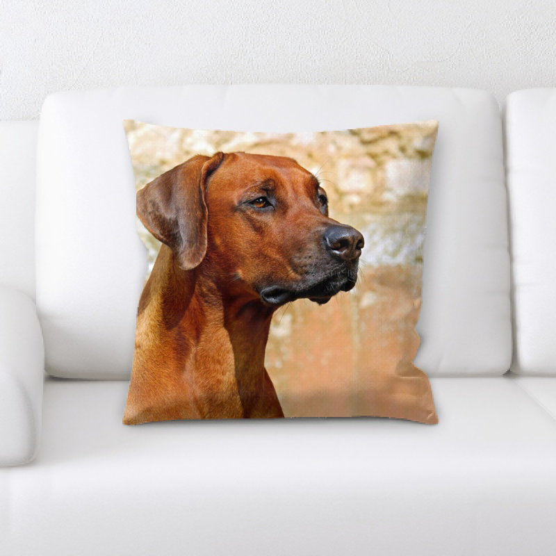 Microsuede Throw Pillow