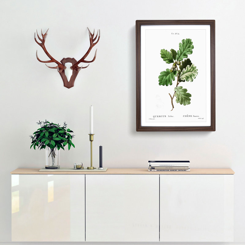 Oak Tree by Pierre-Joseph Redoute - Picture Frame Painting Print, 48cm H x 36cm W x 2cm D, Walnut Framed