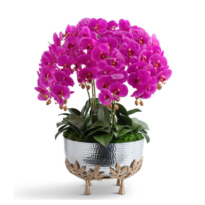 Orchids in Mixed Metal Urn